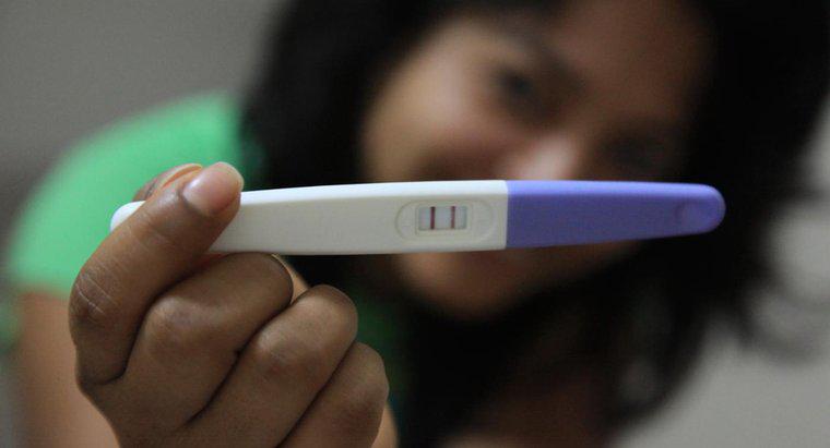 Hamilelik Testi Hesaplayıcı Nasıl Kullanılır?