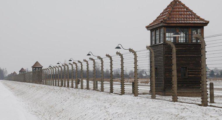 Holokost'a Neden Olan Bazı Olaylar Nelerdir?