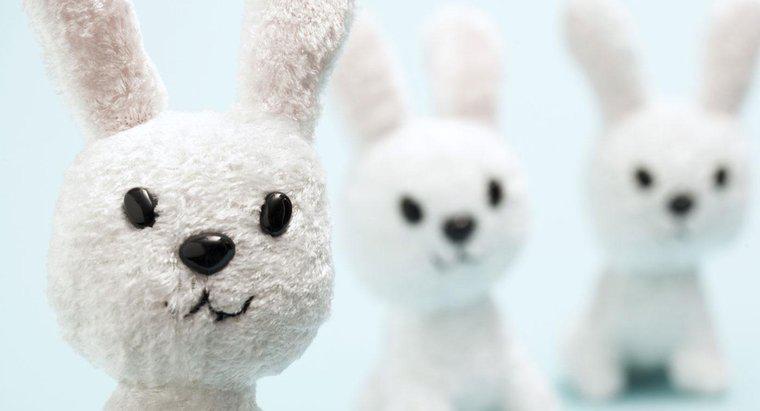 Paskalya Tavşanı'nın Tarihi Nedir?