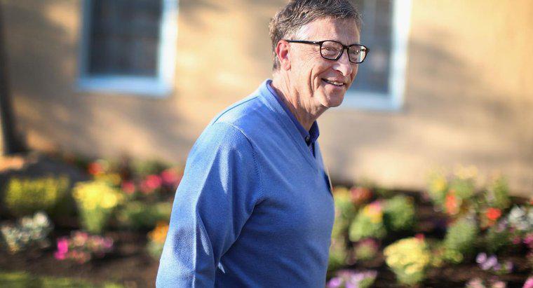 Bill Gates ne icat etti?