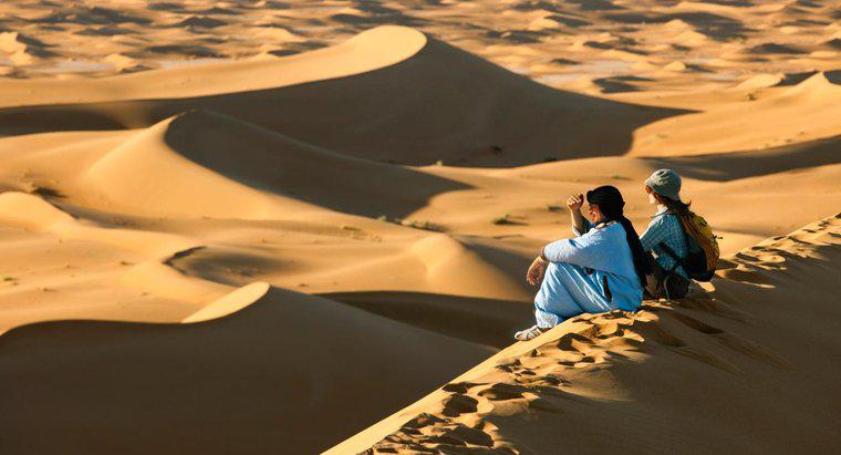 Sahara Çölü'nde Nerede Bulunur?