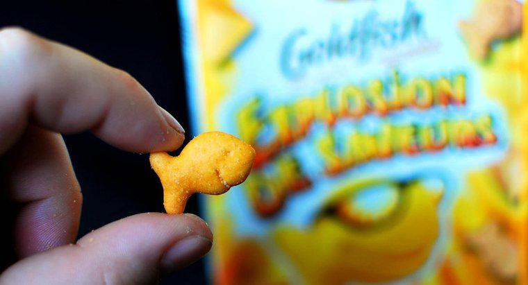 Goldfish Krakerleri Sağlıklı mı?