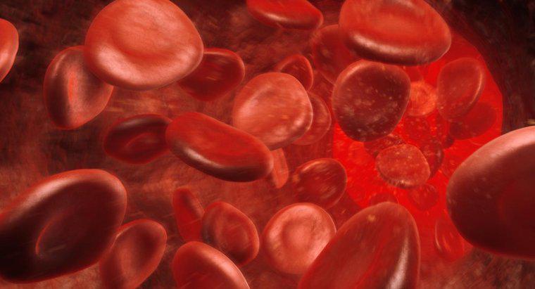 Yüksek Hemoglobin Sayısı Ne Demektir?