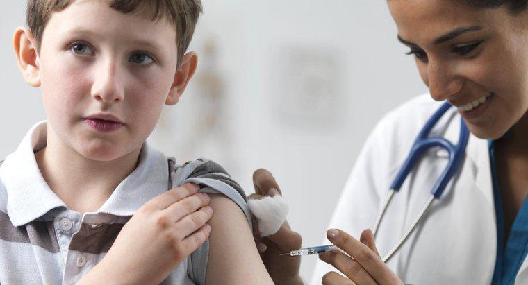 Zatürree aşısı neleri içerir ve maliyeti nedir?