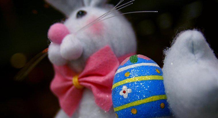 Easter Bunny nerede yaşıyor?