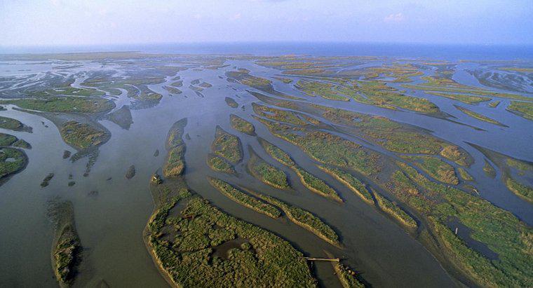 Yer Bilimleri 101: Coğrafyada Delta Nedir?
