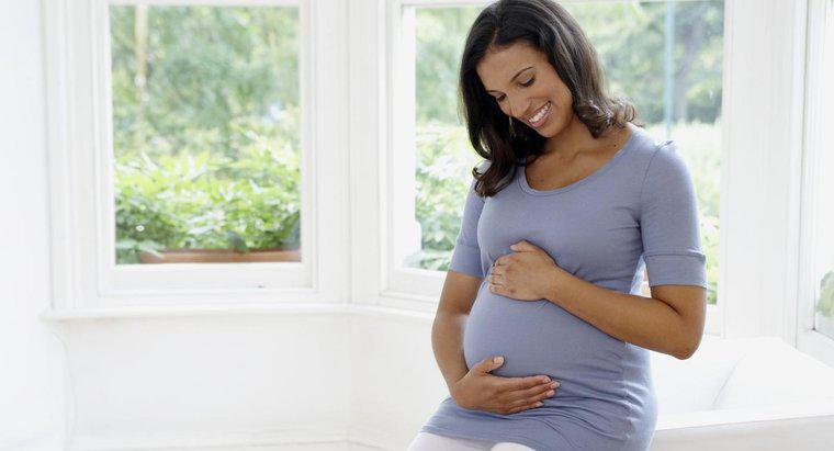 Hamilelik, Bir Kadının Bazal Vücut Sıcaklığını Nasıl Etkiler?