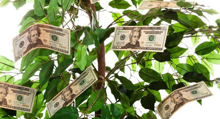 Para Ağacı Hediye Olarak Nasıl Verilir?