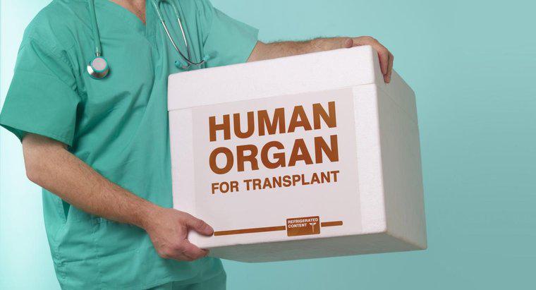 Organ Nakli Avantajları ve Dezavantajları Nelerdir?