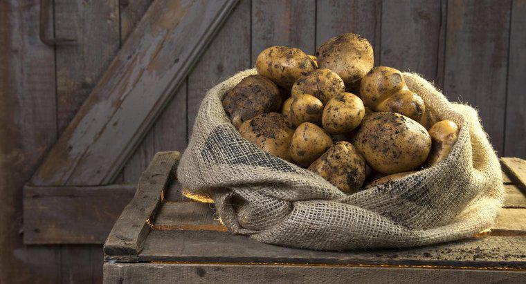 Patates Torbası Kullanımıyla İlgili Bazı Talimatlar Nelerdir?