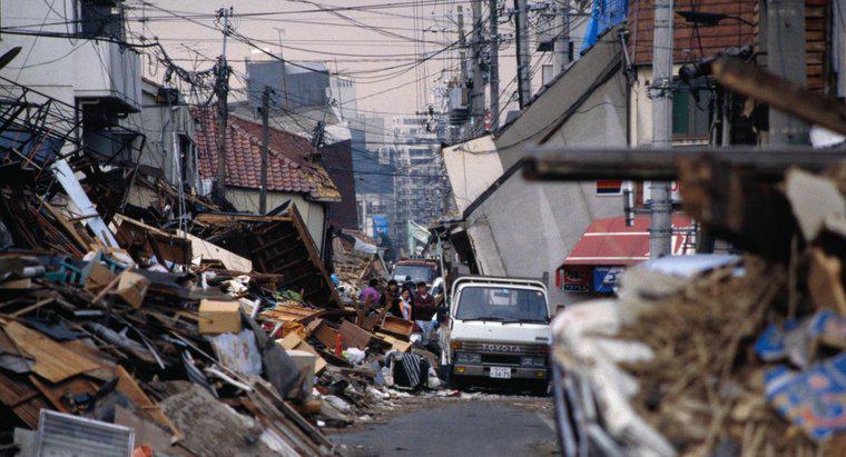 Japonya'da Yıllık Ortalama Deprem Sayısı Nedir?