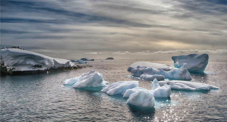 Sınır Antarktika'sındaki Üç Okyanus Nedir?