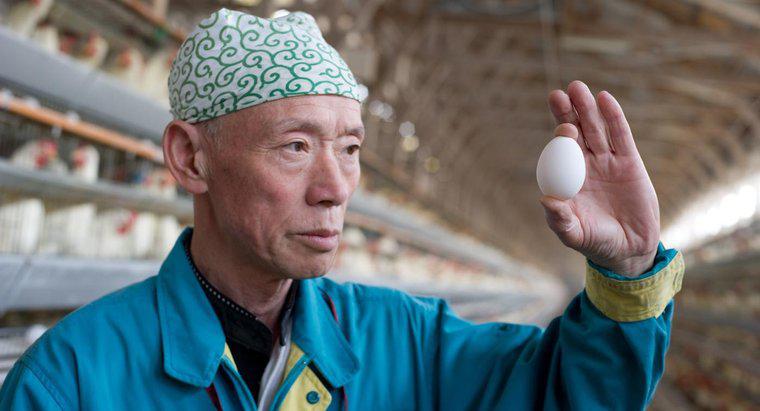 Yaşlı Yumurtaları Yemekden Hasta Olabilir misiniz?