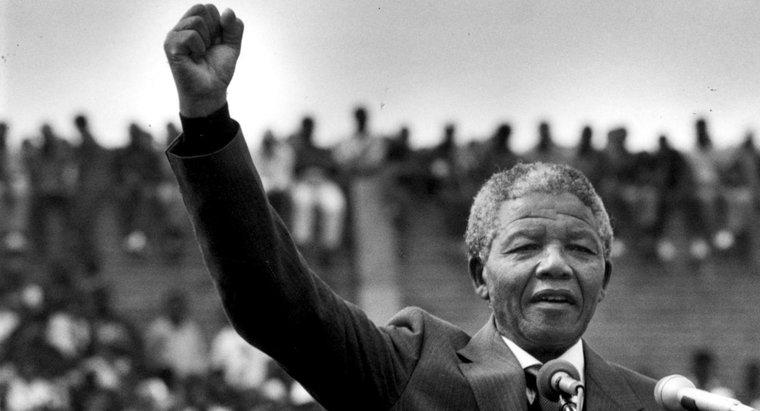 Nelson Mandela ne için savaştı?