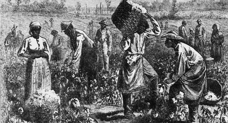 Kölelik konusu kuzeyde ve güneyde nasıl farklılaştı?