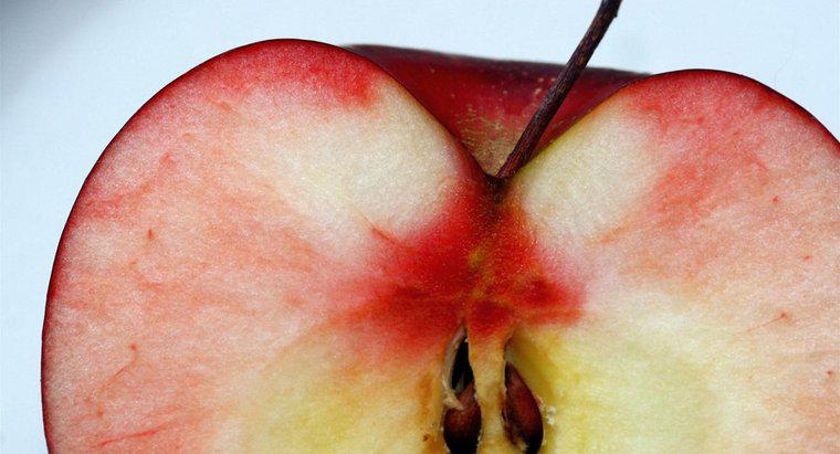 Elma Tohumları Nasıl Dağıtılır?