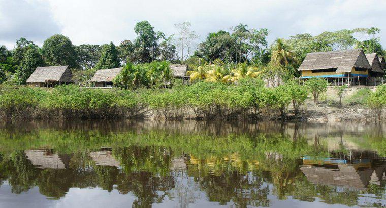 Amazon nehri nerede başlıyor ve bitiyor?