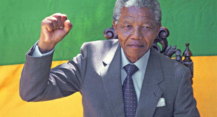 Nelson Mandela ne başardı?