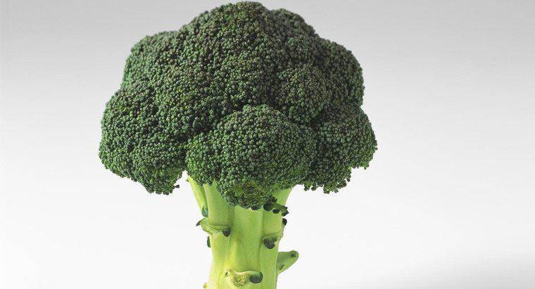 Brokoli Vücudunuz İçin Ne Yapar?