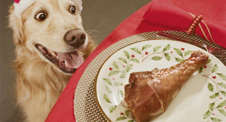 Köpekler Tavuk Kemiklerini Yebilir mi?