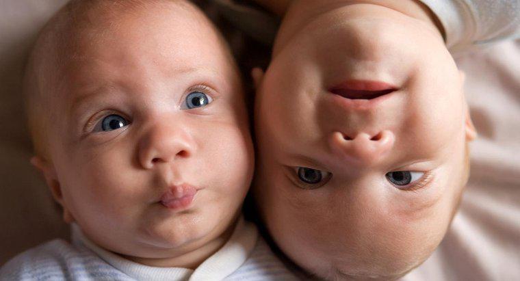 İkizler Yıllar Arası Doğabilir mi?