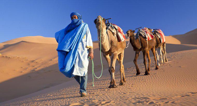 Sahara Çölü Hangi Ülkeleri Kapsar?