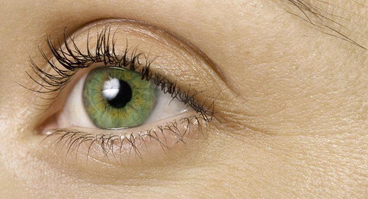 Hangi Saç Rengi Yeşil Gözlere Uygun?