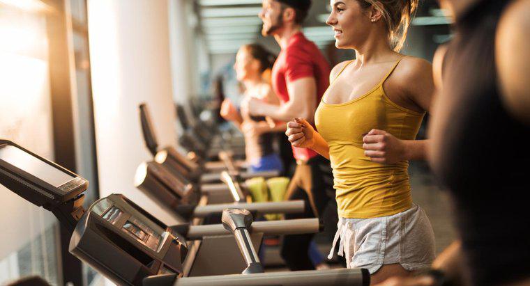 Fitness 19'daki Spor Salonu Üyelik Ücretleri Nelerdir?