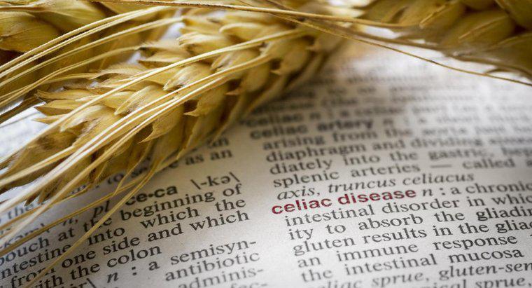 Buğday Alerjisinin Bazı Belirtileri Nelerdir?