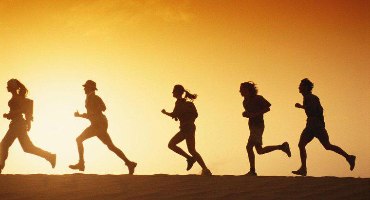 Ortalama İnsan Koşu Hızı Nedir?