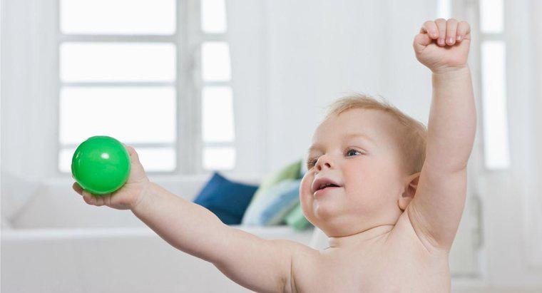 Bebekler Neden Kollarını Çırpmak Gibidir?