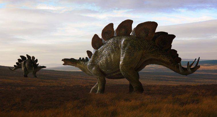 Dinozorlar Dünyayı Ne Zaman Dolaştırdı?