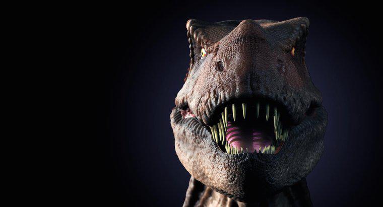 T. Rex Çocuklar İçin Eğlenceli Gerçekler Nelerdir?