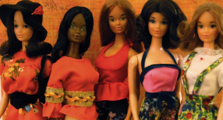 Barbie'nin Afro-Amerikan Arkadaşının Adı Nedir?