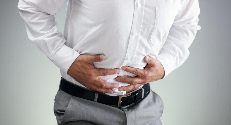 Gastrointestinal Semptomlar Gıda Zehirlenmeleri ile İlişkili Olanlar