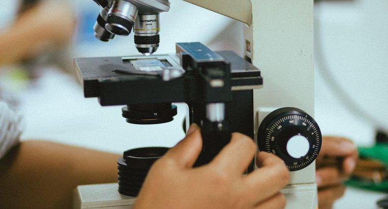 Mikroskop Amacı Nedir?