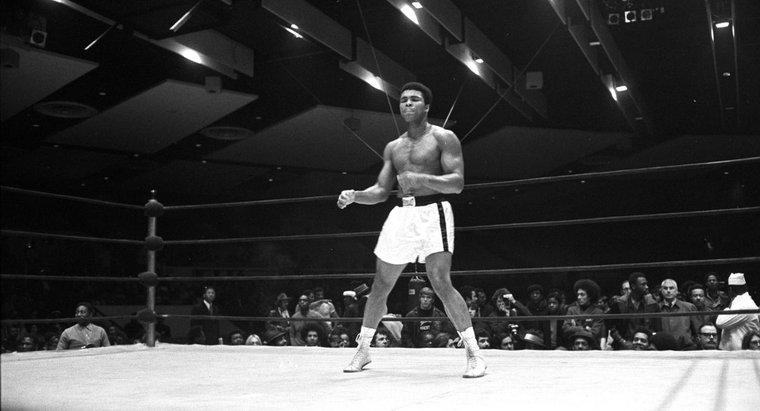 Muhammed Ali'nin Bazı Başarıları Nelerdir?