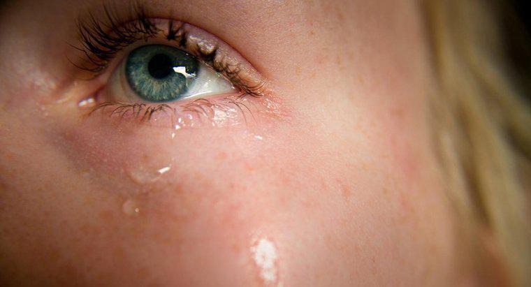 Gözyaşları Neden Tuzlu?