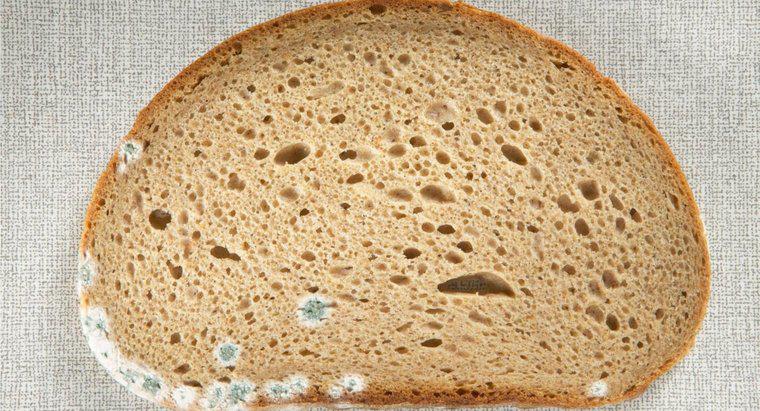 Küflü Ekmek Yeme Tehlikeleri Nelerdir?