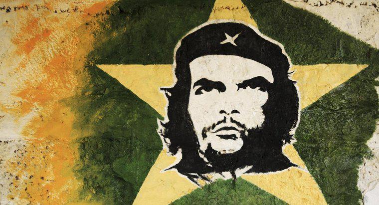 Che Guevara'nın Nesi Ünlü?