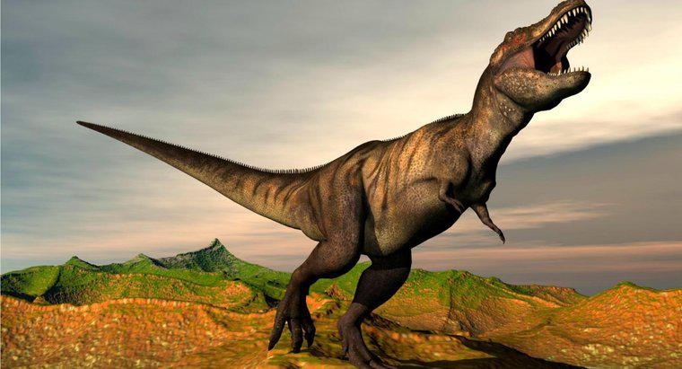 Tyrannosaurus Rex Hakkında Bazı Gerçekler Nelerdir?