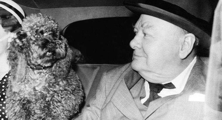 Winston Churchill Kimdi ve Neden Ünlü?