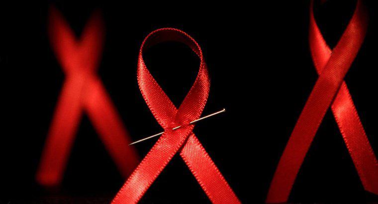 En Uzun Yaşayan HIV Olumlu Kişi Kimdir?