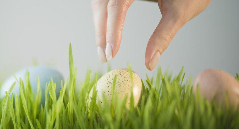 Yetişkinler için Bazı Paskalya Yumurtası Avı Fikirleri Nelerdir?
