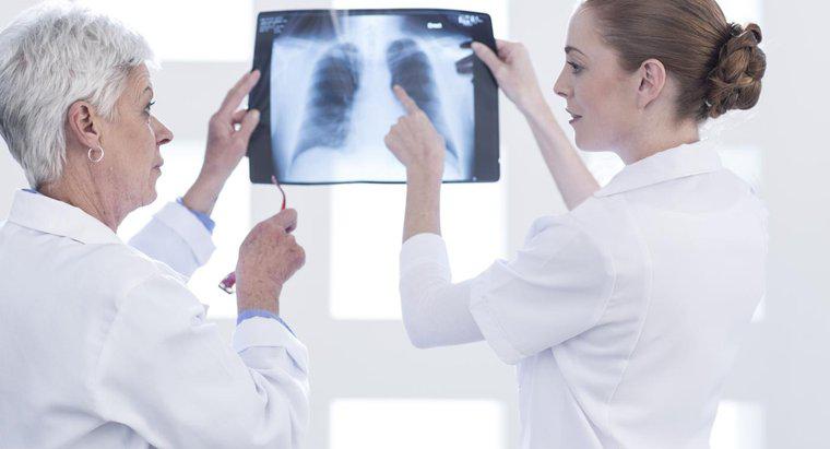 Solunum Sisteminde Akciğerler Ne Yapar?