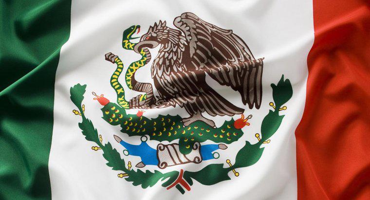 Meksika Bayrağında Ne Tür Bir Kartal Var?