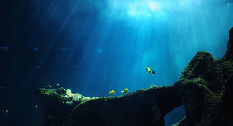 Derin Okyanus Siperlerinde Neler Oldu?