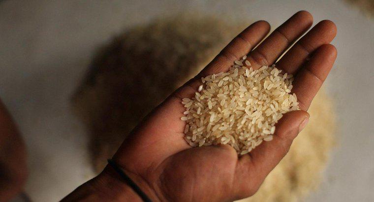 Tek Bir Pirinç Tahıl Ne Kadar Tartılır?