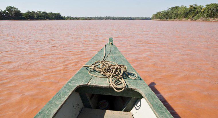 Amazon nehrinin ağzı nerede?