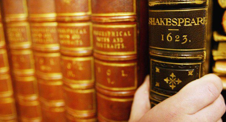 William Shakespeare'in Yazdığı Üç Oyun Türü Neydi?